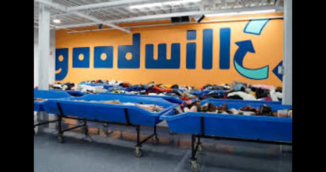 Good Will Bins: The Treasure Hunt You Didn’t Know You Needed1