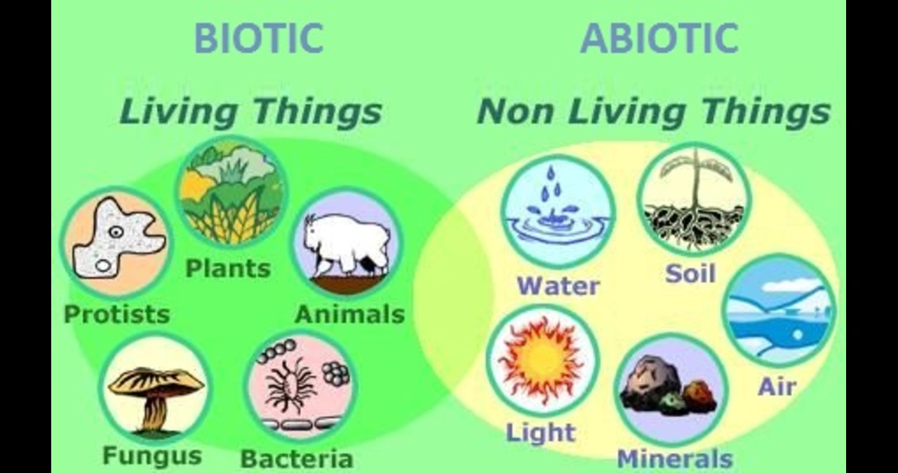 Abiotic Factors