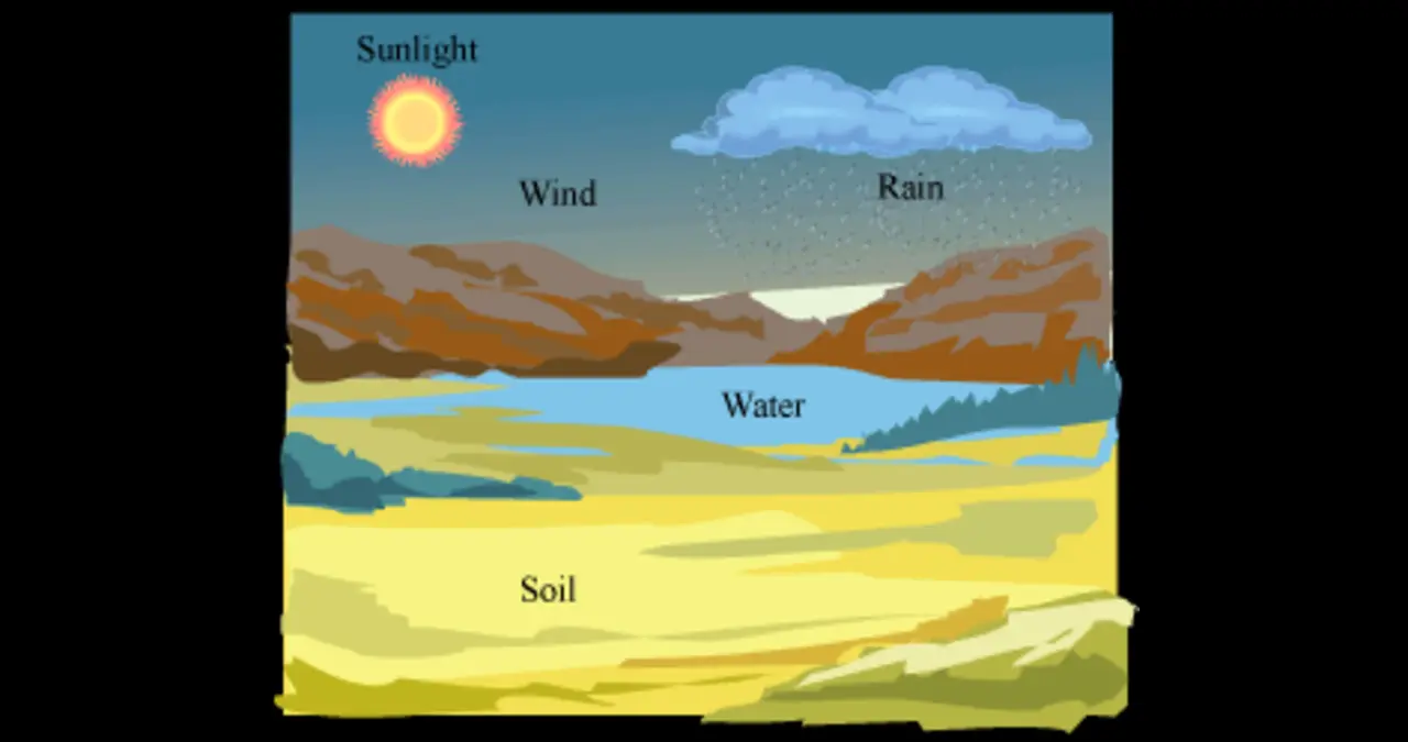 Understanding Abiotic Factors: The Unsung Heroes of Ecosystems Understanding Abiotic Factors: The Unsung Heroes of Ecosystems