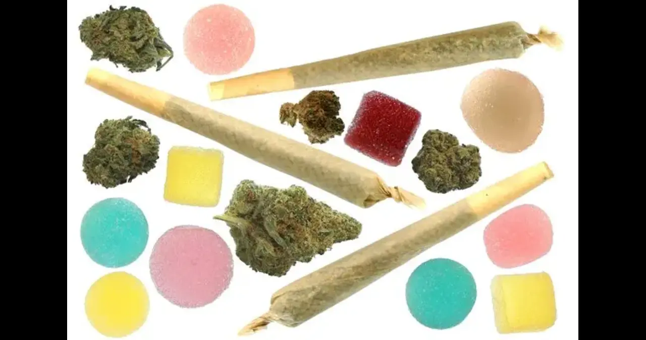 Why Do Stoners Think They're Smart? A Deep Dive into Cannabis, Cognition, and Self-Perception Why Do Stoners Think They're Smart? A Deep Dive into Cannabis, Cognition, and Self-Perception