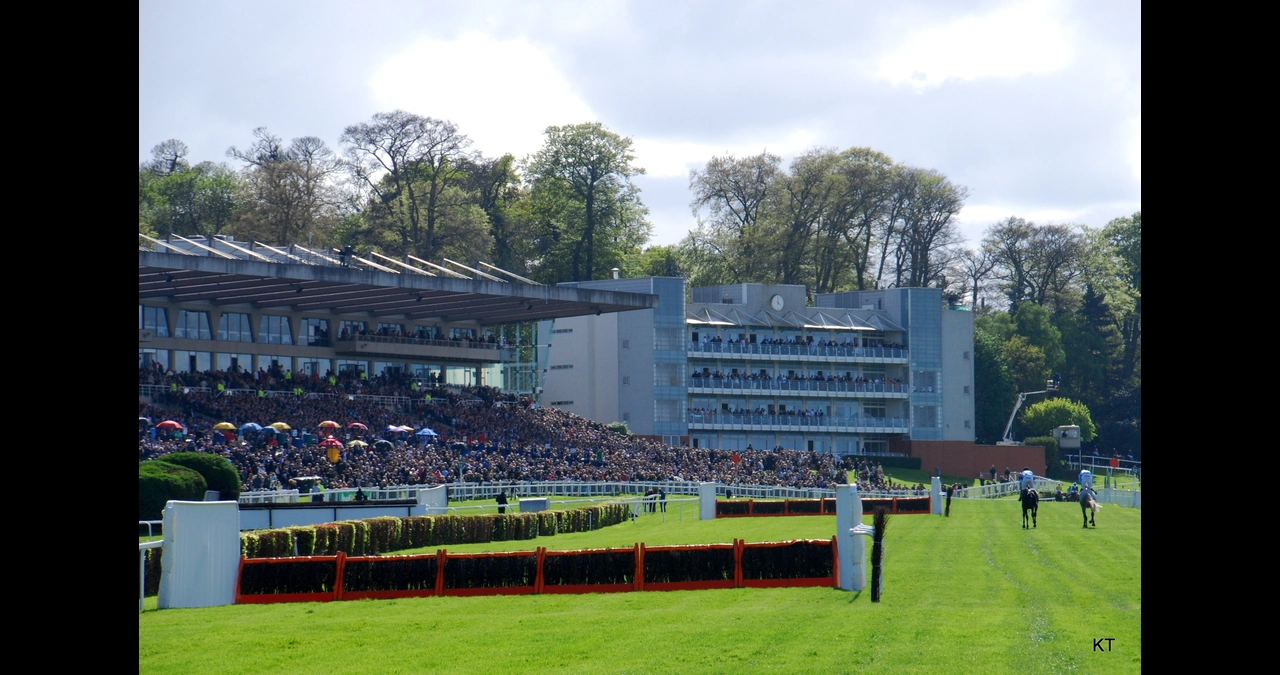 Top One Make Heading – The Character of the ndown park Racecourse Top One Make Heading – The Character of the ndown park Racecourse