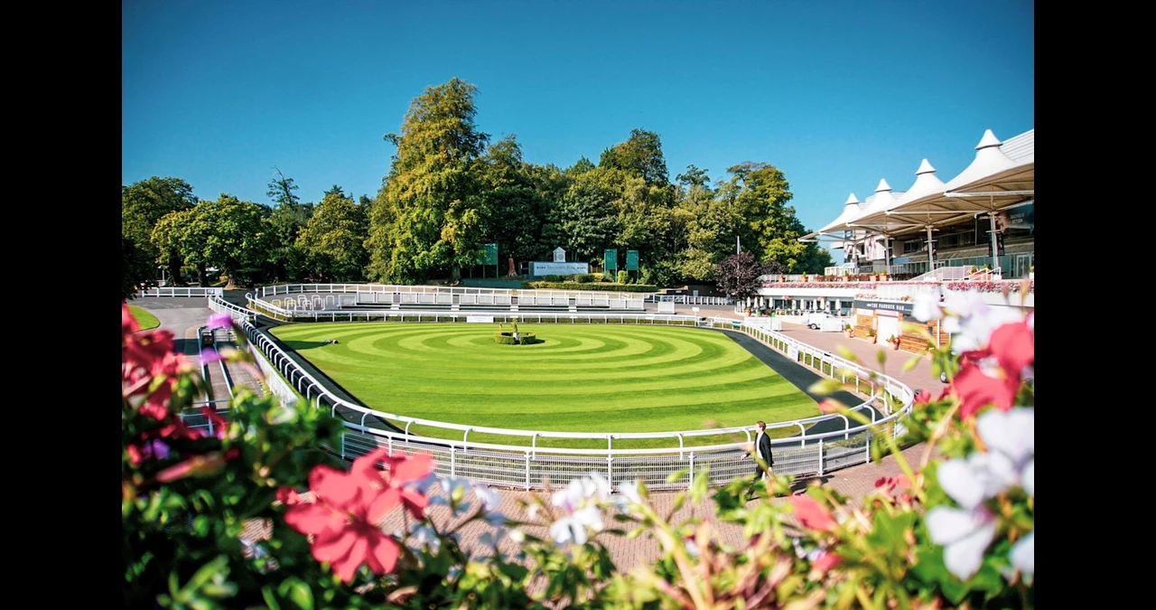ndown park Racecourse